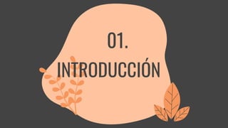 INTRODUCCIÓN
01.
 