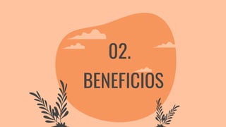 BENEFICIOS
02.
 