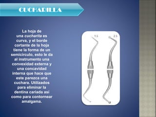 La hoja de una  cucharita  es curva, y el borde cortante de la hoja tiene la forma de un semicírculo, esto le da al instrumento una convexidad externa y una concavidad interna que hace que este parezca una cuchara. Utilizados para eliminar la dentina cariada así como para contornear amalgama. 