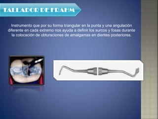 Instrumento que por su forma triangular en la punta y una angulación diferente en cada extremo nos ayuda a definir los surcos y fosas durante la colocación de obturaciones de amalgamas en dientes posteriores. 