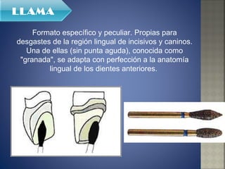 Formato específico y peculiar. Propias para desgastes de la región lingual de incisivos y caninos. Una de ellas (sin punta aguda), conocida como "granada", se adapta con perfección a la anatomía lingual de los dientes anteriores.  LLAMA 