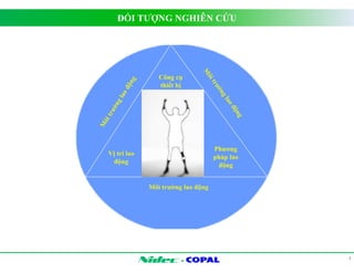 ĐỐI TƯỢNG NGHIÊN CỨU 
- 
4 
 