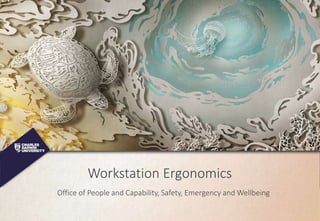 Workstation Ergonomics
Office of People and Capability, Safety, Emergency and Wellbeing
 