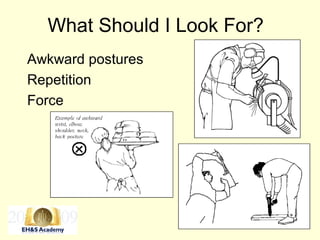 13
What Should I Look For?
Awkward postures
Repetition
Force
 