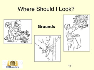 19
Where Should I Look?
Grounds
 