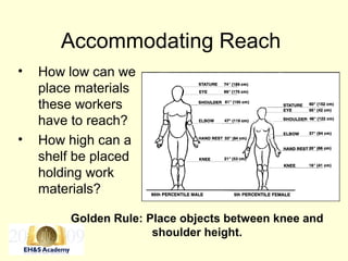 Accommodating Reach
• How low can we
place materials
these workers
have to reach?
• How high can a
shelf be placed
holding work
materials?
Golden Rule: Place objects between knee and
shoulder height.
 
