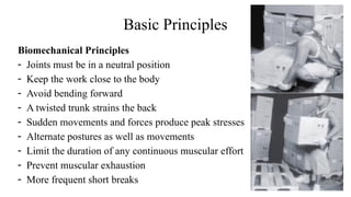 Ergonomics | PDF