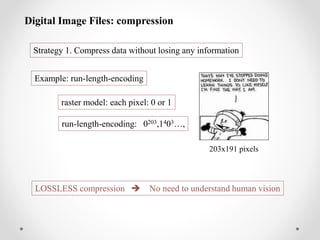 Ergonomics | PDF