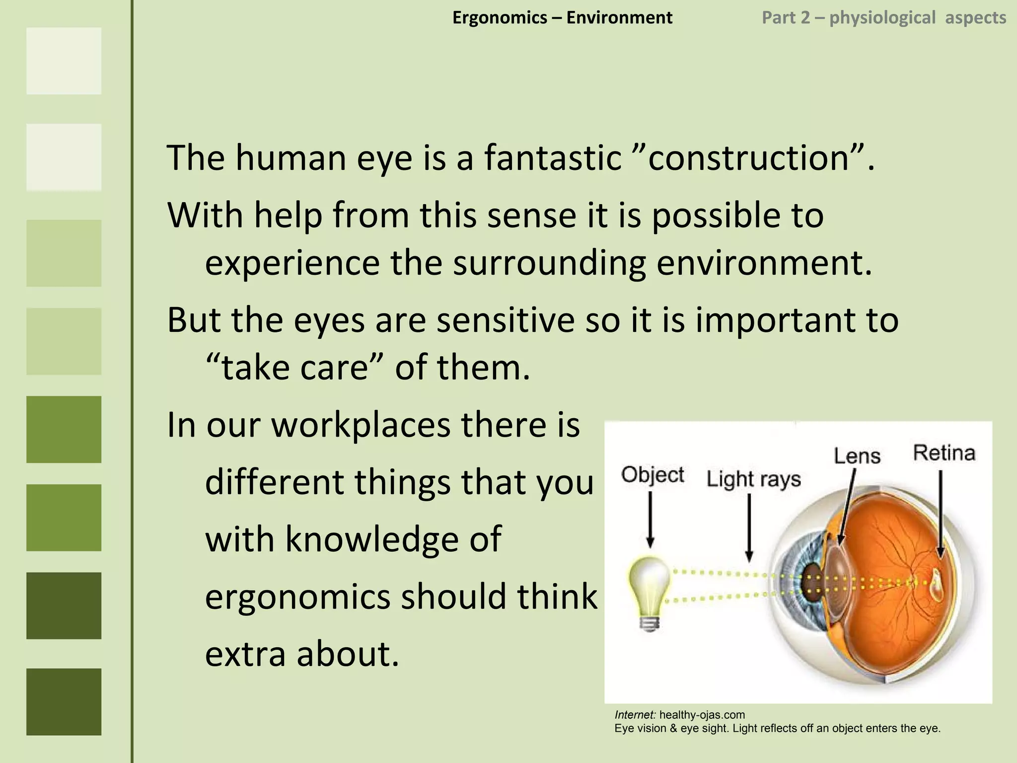 Ergonomics  – Environment    Part 2 –  physiological  aspects The human eye is a fantastic ”construction”.  With help from this sense it is possible to experience the surrounding environment. But the eyes are sensitive so it is important to “take care” of them. In our workplaces there is different things that you with knowledge of  ergonomics should think extra about. Internet:  healthy-ojas.com Eye vision & eye sight. Light reflects off an object enters the eye. 
