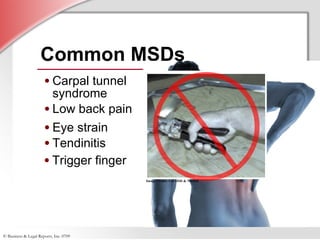 Common MSDs Carpal tunnel syndrome Low back pain Eye strain Tendinitis Trigger finger Image Credit: Cal OSH & NIOSH 