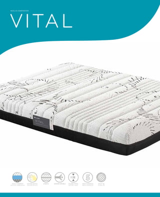 NUCLIS COMPOSTOS VITAL 
22 
ALÇADA TOTAL 
ALTURA TOTAL 
VISCOELÁSTICA STRECH 
VISCOELÀSTICA 
ANYS GARANTIA 
AÑOS GARANTÍA 
NUCLI COMPOST 
NÚCLEO COMPUESTO 
TEIXIT 3D 
TEJIDO 3D 
DESENFUNDABLE 
 