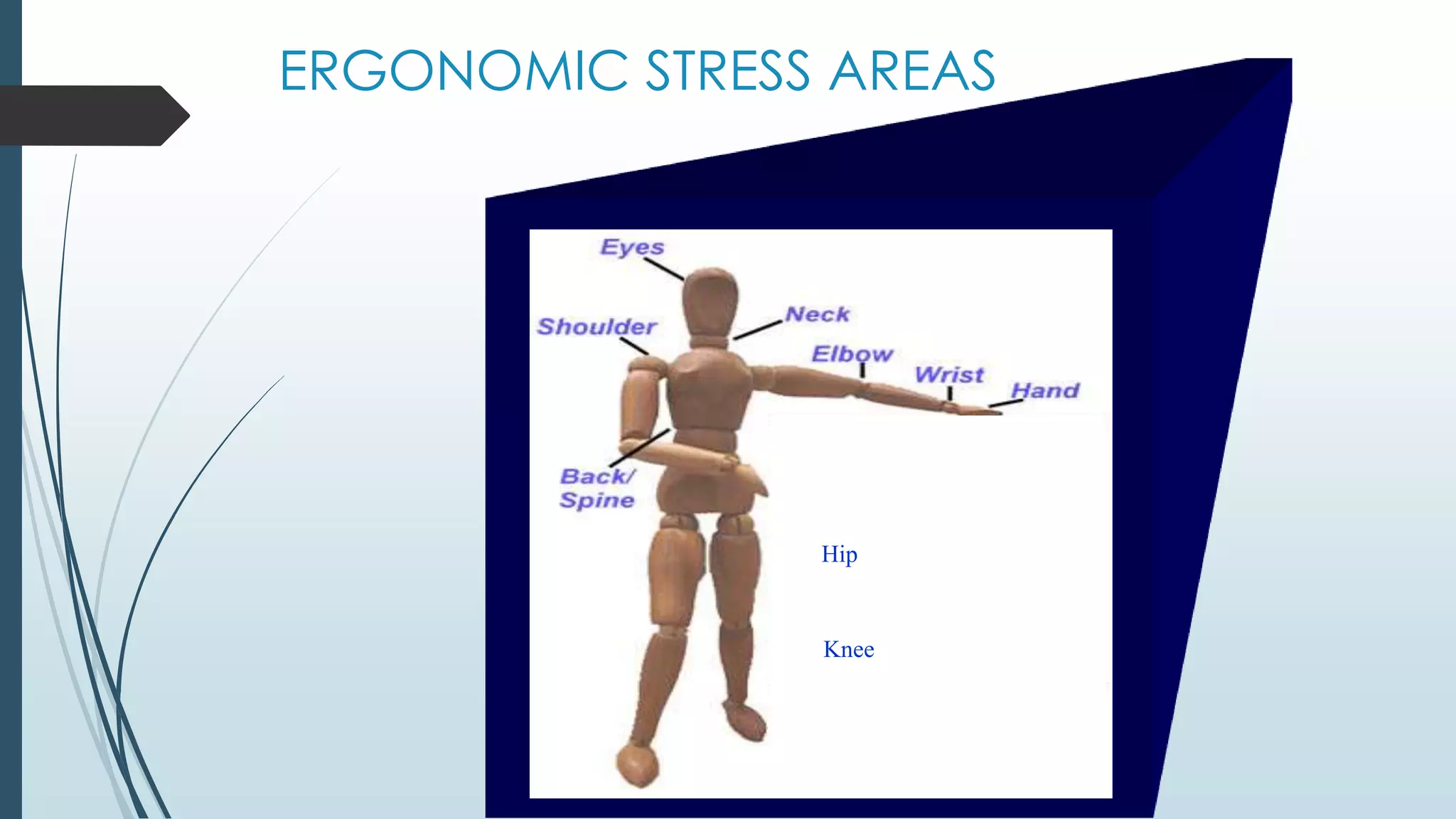 ERGONOMIC STRESS AREAS 
Hip 
Knee 
 