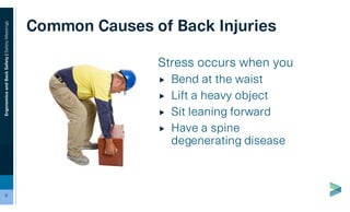 Ergonomics and Back Safety PowerPoint 2025 | PDF