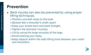 Ergonomics & Back Safety | PDF