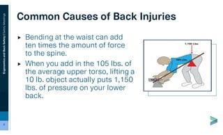 Ergonomics & Back Safety | PDF