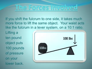 The Forces Involved
When you add in the
105 pounds of the
average human upper
torso, you see that
lifting a ten pound
obje...