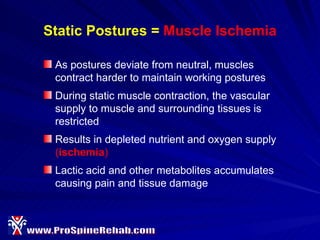 Ergonomics For Dental Hygienists | PPT