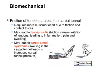 Biomechanical Consequences
of a Deviated Wrist Position
 Friction of tendons across the carpal tunnel
 Requires more muscular effort due to friction and
contact forces
 May lead to tenosynovitis (friction causes irritation
of tendons, leading to inflammation, pain and
swelling)
 May lead to carpal tunnel
syndrome (swelling in the
carpal tunnel leads to
increased carpal
tunnel pressure)
 