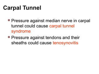 Carpal Tunnel Pressure
Pressure against median nerve in carpal
tunnel could cause carpal tunnel
syndrome
Pressure against tendons and their
sheaths could cause tenosynovitis
 
