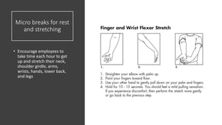 Micro breaks for rest
and stretching
• Encourage employees to
take time each hour to get
up and stretch their neck,
shoulder girdle, arms,
wrists, hands, lower back,
and legs
 