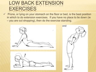 Ergonomics in msd | PPTX
