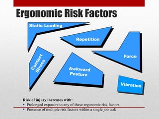 Ergonomic Risk Factors
Static Loading
Repetition

Force

Risk of injury increases with:
 Prolonged exposure to any of these ergonomic risk factors
 Presence of multiple risk factors within a single job task

 