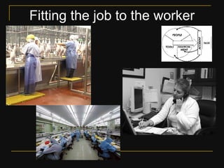 Ergonomics & its importance in furniture design pt 1 | PDF