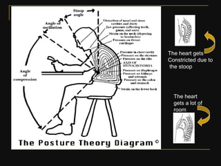 Ergonomics & its importance in furniture design pt 1 | PDF