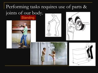 Ergonomics & its importance in furniture design pt 1 | PDF