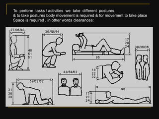 Ergonomics & its importance in furniture design pt 1 | PDF