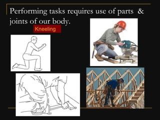 Ergonomics & its importance in furniture design pt 1 | PDF