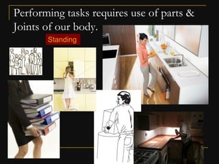 Ergonomics & its importance in furniture design pt 1 | PDF