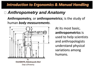 Anthropometry and Anatomy
Anthropometry, or anthropometrics; is the study of
human body measurements.
At its most basic,
anthropometrics is
used to help scientists
and anthropologists
understand physical
variations among
humans.
Introduction to Ergonomics & Manual Handling
 