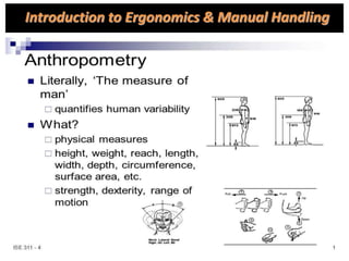 Introduction to Ergonomics & Manual Handling
 