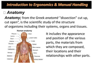 Anatomy
Anatomy; from the Greek anatomē "dissection” cut up,
cut open“, is the scientific study of the structure
of organisms including their systems, organs and tissues.
It includes the appearance
and position of the various
parts, the materials from
which they are composed,
their locations and their
relationships with other parts.
Introduction to Ergonomics & Manual Handling
 