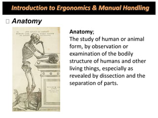 Anatomy
Anatomy;
The study of human or animal
form, by observation or
examination of the bodily
structure of humans and other
living things, especially as
revealed by dissection and the
separation of parts.
Introduction to Ergonomics & Manual Handling
 