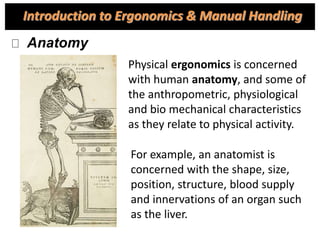 Anatomy
Physical ergonomics is concerned
with human anatomy, and some of
the anthropometric, physiological
and bio mechanical characteristics
as they relate to physical activity.
For example, an anatomist is
concerned with the shape, size,
position, structure, blood supply
and innervations of an organ such
as the liver.
Introduction to Ergonomics & Manual Handling
 