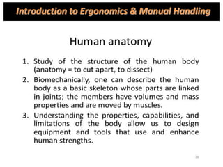 Introduction to Ergonomics & Manual Handling
 