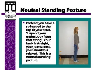 Neutral Standing Posture
Neutral Standing Posture
 Pretend you have a
Pretend you have a
string tied to the
string tied to the
top of your skull.
top of your skull.
Suspend your
Suspend your
entire body from
entire body from
that string. Your
that string. Your
back is straight,
back is straight,
your joints loose,
your joints loose,
your shoulders
your shoulders
relaxed. This is a
relaxed. This is a
neutral standing
neutral standing
posture.
posture.
 