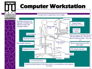 Computer Workstation
Computer Workstation
 