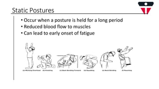 Ergonomics Presentation at workplace .pptx