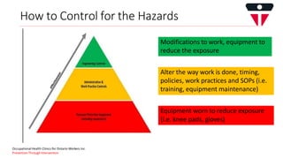 Reduce Physical Risks Ergonomics Presentation at workplace .pptx
