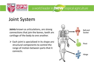 Joint System
Joints known as articulations, are strong
connections that join the bones, teeth and
cartilage of the body to one another.
 Each joint is specialized in its shape and
structural components to control the
range of motion between parts that it
connects.
 