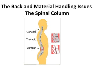 Cervical
Thoracic
Lumbar
The Back and Material Handling Issues
The Spinal Column
 