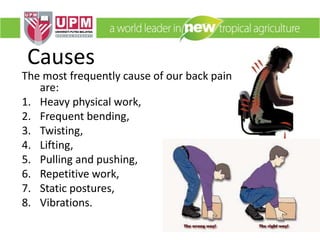 Causes
The most frequently cause of our back pain
are:
1. Heavy physical work,
2. Frequent bending,
3. Twisting,
4. Lifting,
5. Pulling and pushing,
6. Repetitive work,
7. Static postures,
8. Vibrations.
 