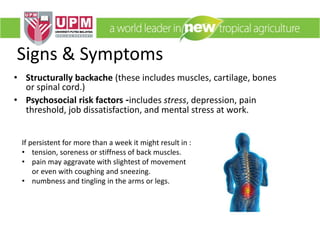 If persistent for more than a week it might result in :
• tension, soreness or stiffness of back muscles.
• pain may aggravate with slightest of movement
or even with coughing and sneezing.
• numbness and tingling in the arms or legs.
Signs & Symptoms
• Structurally backache (these includes muscles, cartilage, bones
or spinal cord.)
• Psychosocial risk factors -includes stress, depression, pain
threshold, job dissatisfaction, and mental stress at work.
 