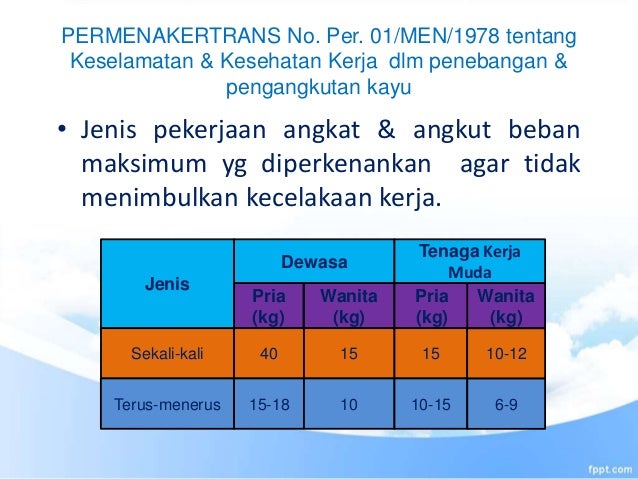 Ergonomi Dalam Bekerja
