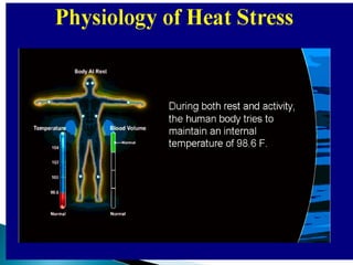 Ergonomics Human Performance and Factors | PPTX