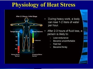 Ergonomics Human Performance and Factors | PPTX