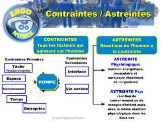 Contraintes // AAssttrreeiinntteess 
CONTRAINTES 
Tous les facteurs qui 
agissent sur l’homme 
Contraintes Primaires Contraintes 
D'après Kapitaniak,Masson 
ASTREINTES 
Réactions de l’homme à 
la contrainte 
ASTREINTE 
Physiologique: 
réaction énergétique, 
musculaire et 
cardiaque dépendant 
de l’organisme 
ASTREINTE Psy: 
réaction de 
contentement ou de 
manque d’intérêt mais 
avec la même réaction 
physiologique dans les 
deux cas 
HHOOMMMMEE 
Secondaires 
Interface 
Vie sociale 
Tâche 
Physique et cognitive 
Espace 
Environnement 
Entreprise 
Temps 
 